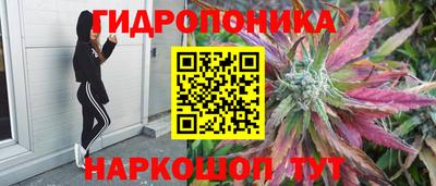 спайс Тара