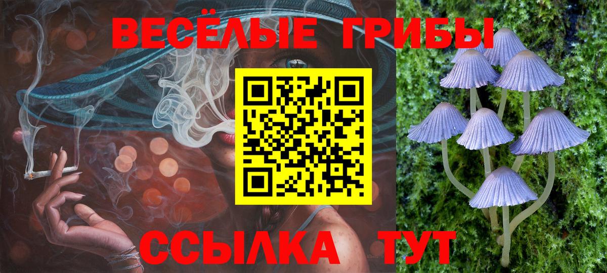 Нижний Тагил  Псилоцибиновые грибы прущие грибы  Галлюциногенные грибы GOLDEN TEACHER  Вход с VPN 