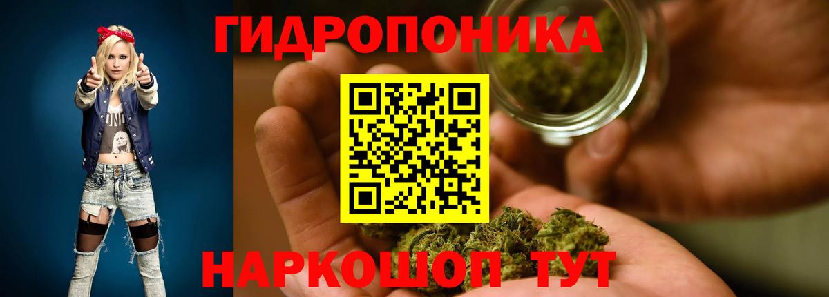 Бошки марихуана LSD WEED  Бошки Шишки ГИДРОПОН  Нижний Тагил  Вход с VPN  МАРИХУАНА VHQ 